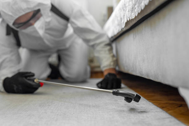 Professional Termite Control technician working in Fredericksburg, TX