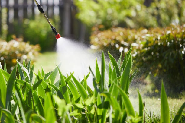 24/7 Emergency Termite Control experts in Fredericksburg, TX