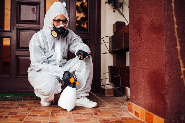 Reliable Termite Control contractor in Fredericksburg, TX by Nex Pest Control